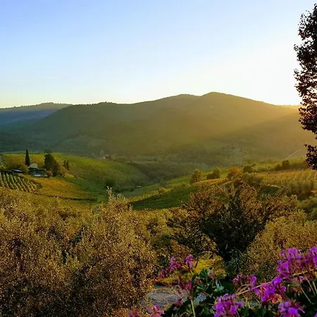 Terre Di Melazzano - Le Di Chiara * Greve in Chianti