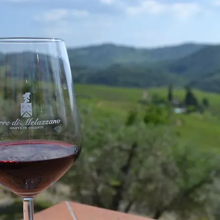 Terre Di Melazzano - Le Di Chiara * Greve in Chianti