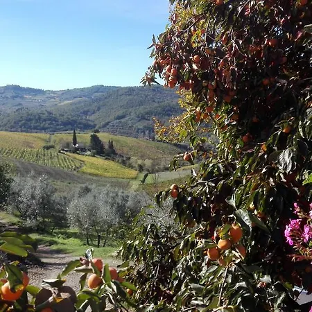 Terre Di Melazzano - Le Di Chiara Фермерский дом Греве-ин-Кьянти