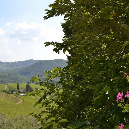 Terre Di Melazzano - Le Di Chiara Фермерский дом Греве-ин-Кьянти